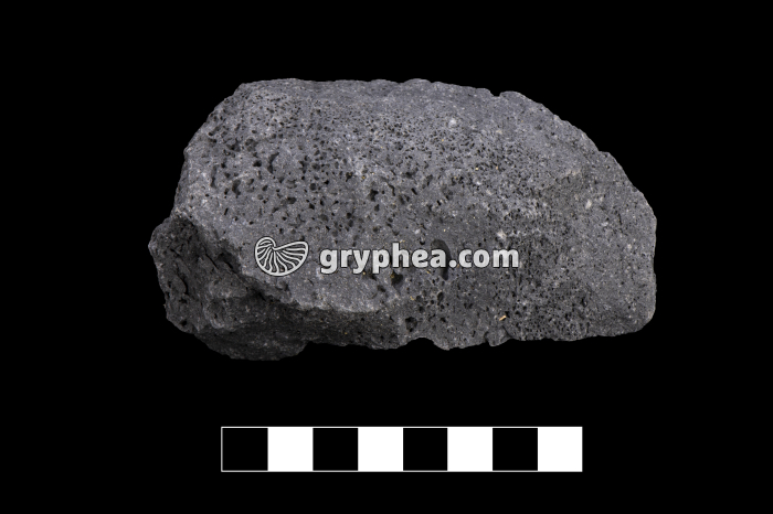 Basalte à structure bulleuse - échantillon (Islande) - gryphea.org